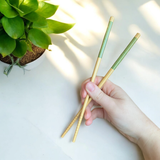 Reusable Bamboo Chopsticks (set of 2)