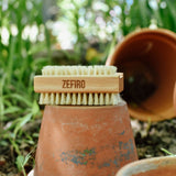 Nail Brush