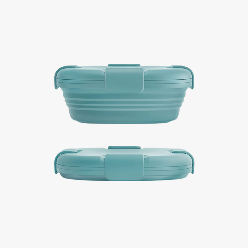The Container Store Collapsible Sandwich Box - Sage - 24 oz
